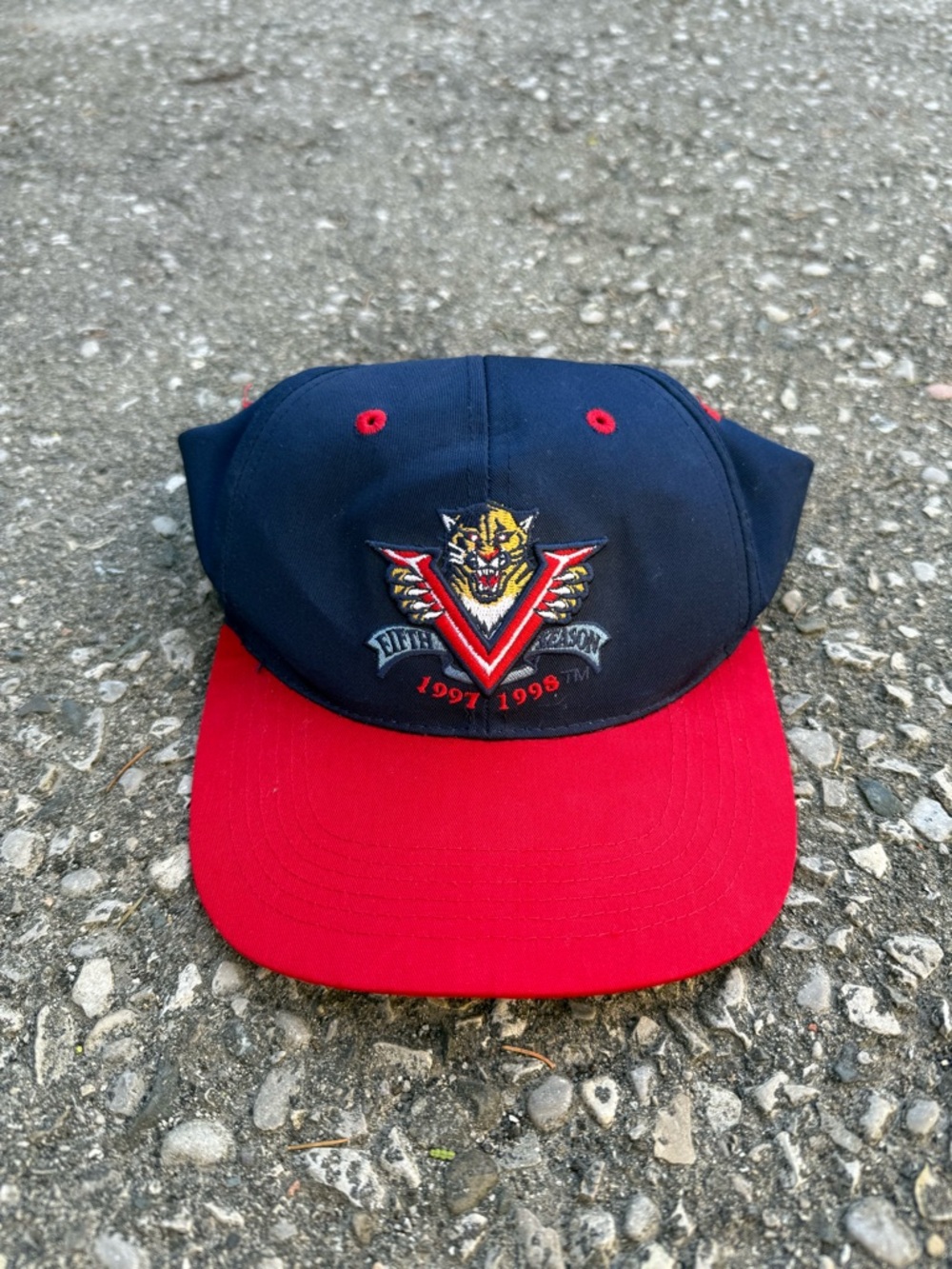 Vintage 1997-1998 Florida Panthers NHL Blue & Red Baseball Cap